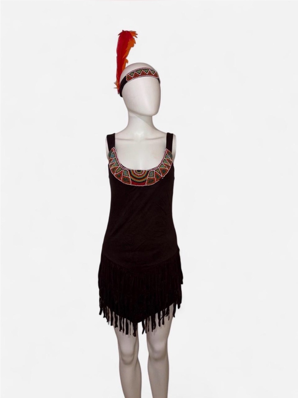 Dreamgirl Native American Halloween dress costume